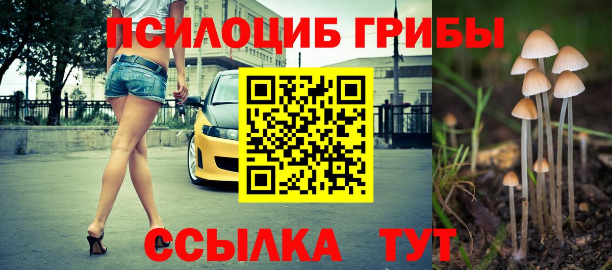 Псилоцибиновые грибы ЛСД Крымск
