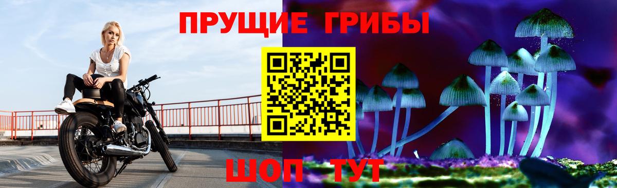 Галлюциногенные грибы прущие грибы  Вход с VPN  Крымск 